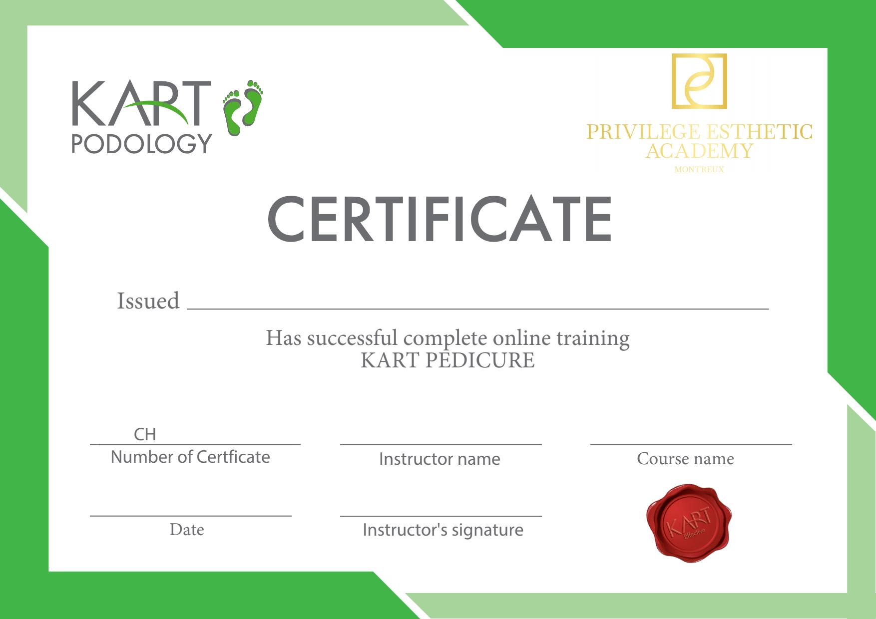 Certificate for pedicure masters Швейцария 2024_page_1